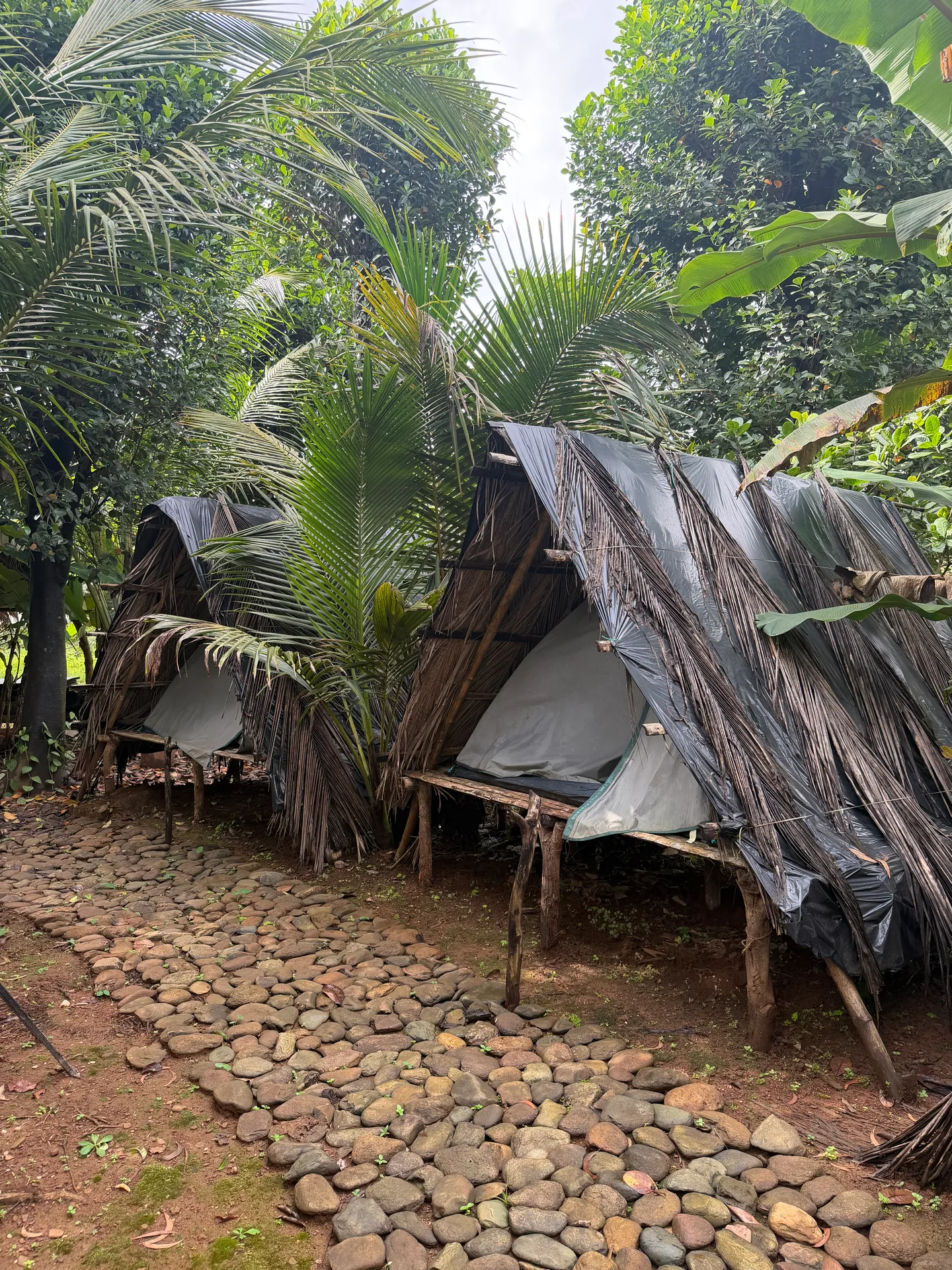 Offbeat South Goa travel photo